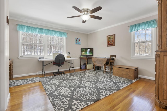 home office with crown molding, hardwood / wood-style flooring, and ceiling fan