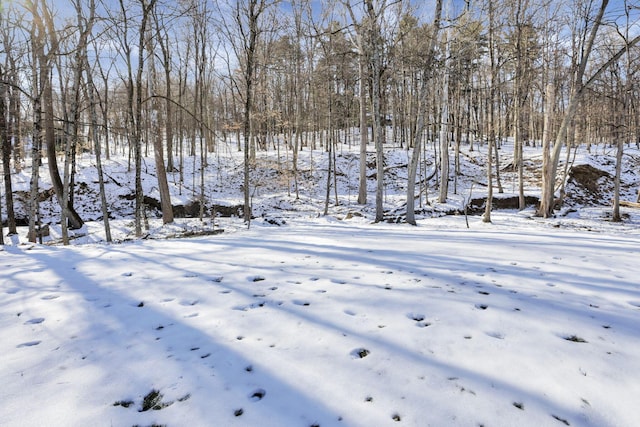 view of yard layered in snow