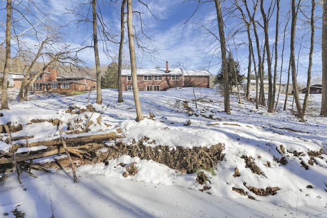 view of yard covered in snow