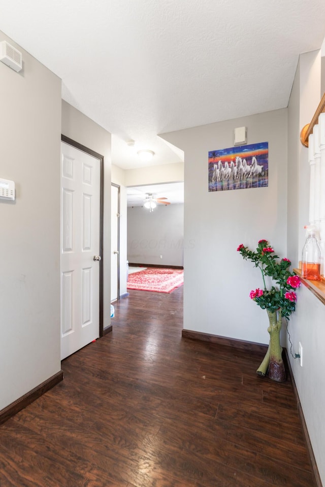 hall featuring dark hardwood / wood-style flooring