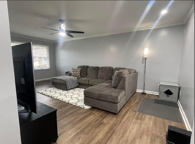 living room with crown molding, ceiling fan, and hardwood / wood-style flooring