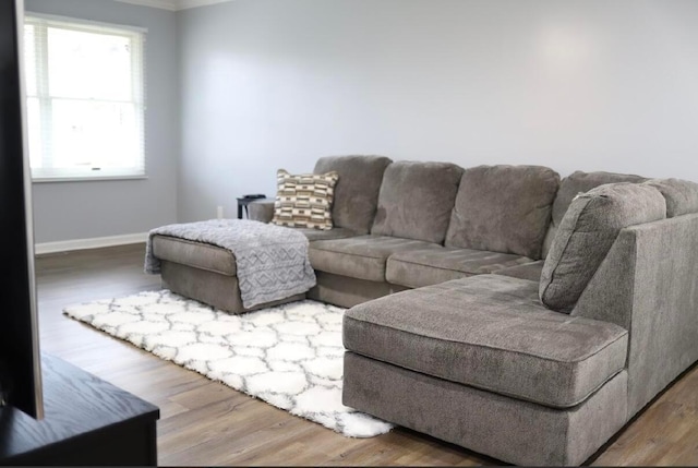 living room with hardwood / wood-style flooring