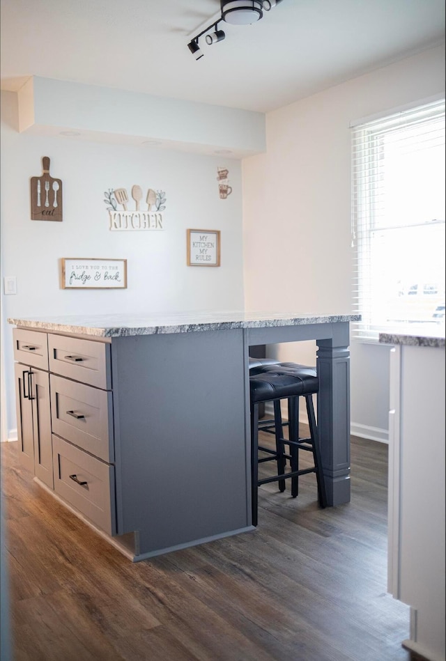 bar with gray cabinetry, dark wood-type flooring, and rail lighting