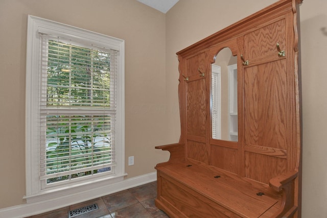 mudroom featuring dark tile patterned floors and a wealth of natural light