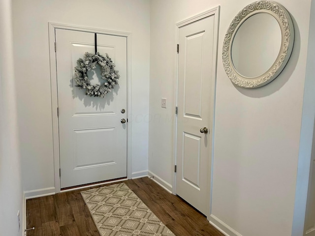 entryway featuring dark wood-type flooring