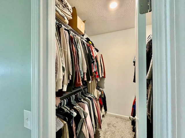 walk in closet featuring carpet flooring