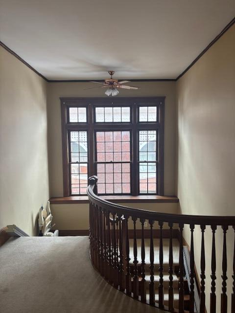 bedroom with ornamental molding and multiple windows