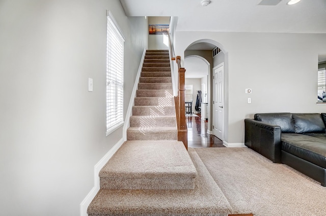 stairway featuring carpet flooring and a wealth of natural light