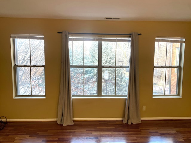 spare room featuring a healthy amount of sunlight and dark wood-type flooring