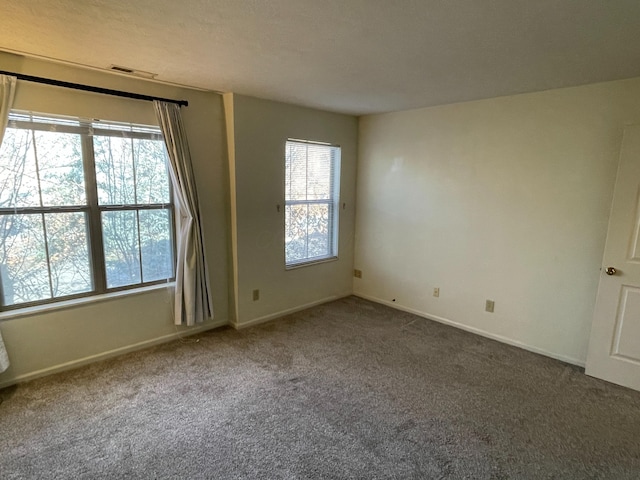 carpeted empty room with a healthy amount of sunlight