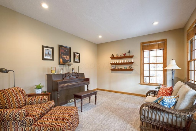 sitting room with carpet floors