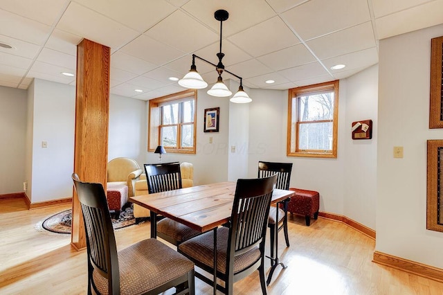 dining room with light hardwood / wood-style flooring, plenty of natural light, and a drop ceiling