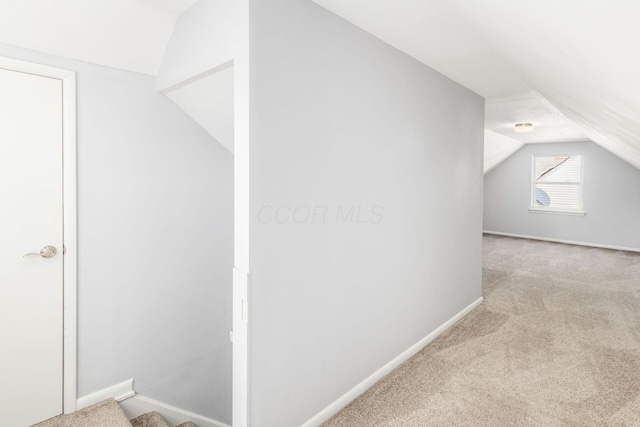 additional living space with baseboards, lofted ceiling, and carpet