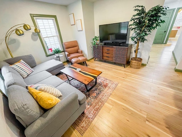 living room featuring hardwood / wood-style floors