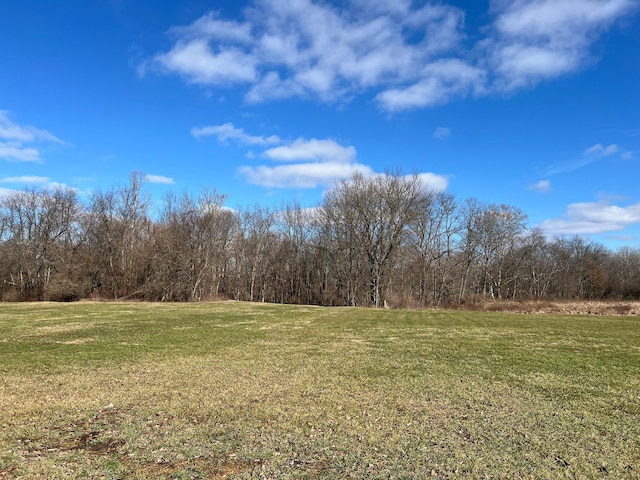 view of yard featuring a forest view