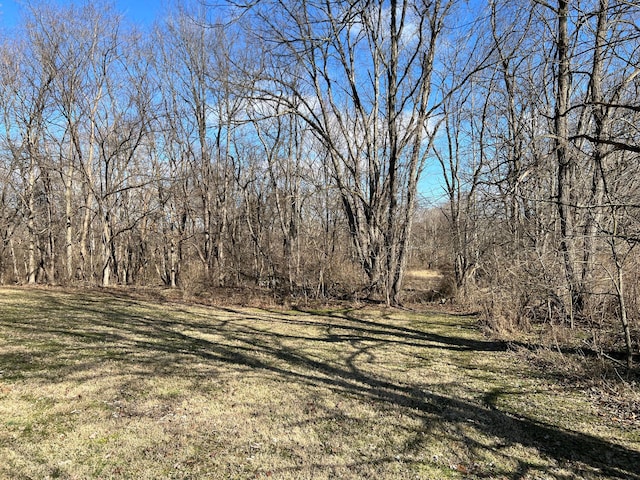 view of yard with a wooded view