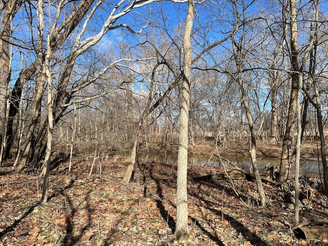 view of local wilderness featuring a wooded view