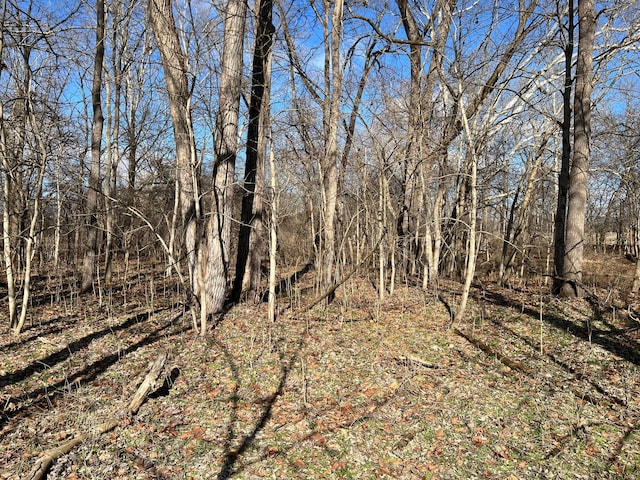 view of local wilderness with a wooded view