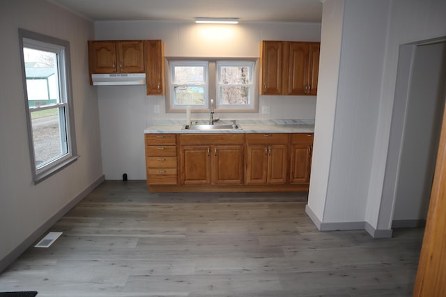 kitchen with ornamental molding, sink, and light wood-type flooring