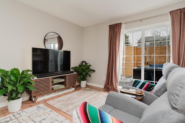 living room with hardwood / wood-style flooring