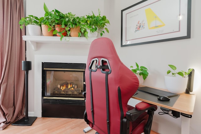 room details with hardwood / wood-style floors