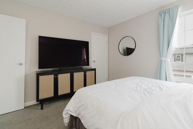 bedroom featuring carpet and a textured ceiling