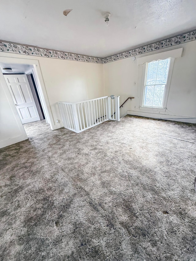 unfurnished room with carpet