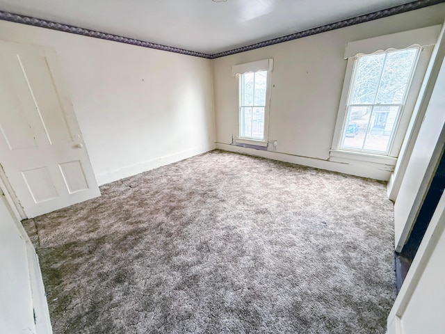 empty room featuring carpet floors