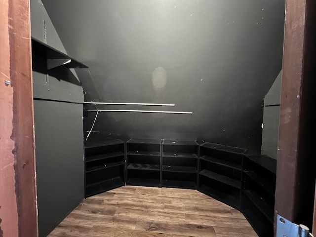 spacious closet featuring wood-type flooring