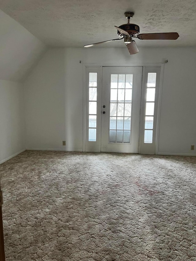 interior space featuring a healthy amount of sunlight, carpet flooring, and a textured ceiling