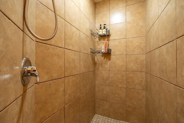 room details featuring tiled shower