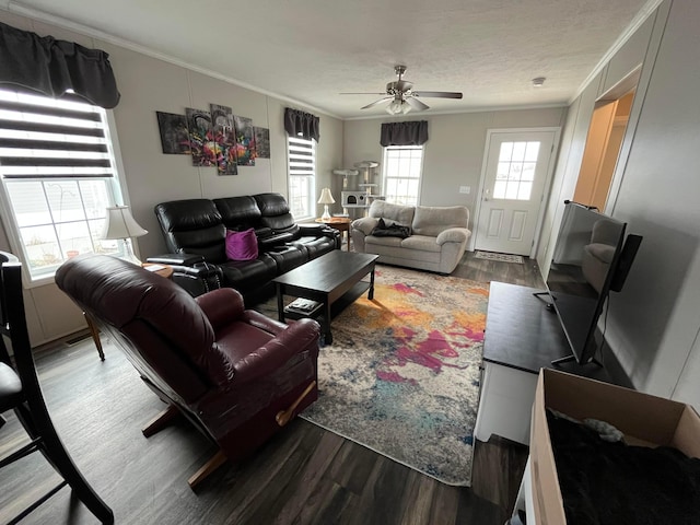 living room featuring ceiling fan, ornamental molding, hardwood / wood-style floors, and a textured ceiling