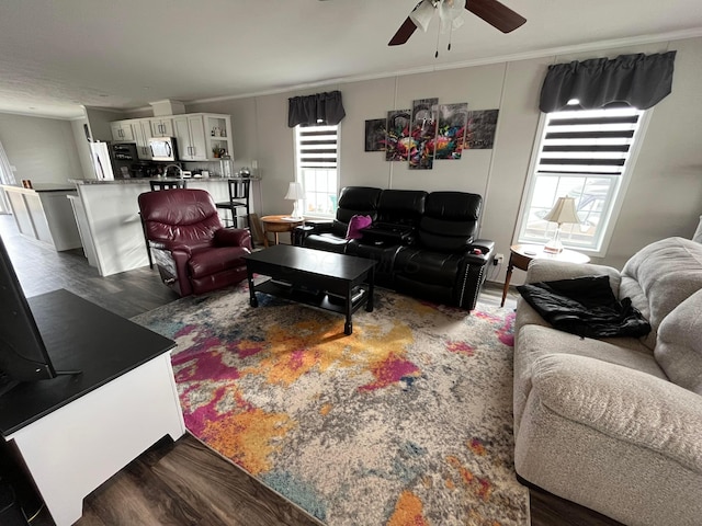 living room with dark wood-type flooring, ornamental molding, and ceiling fan