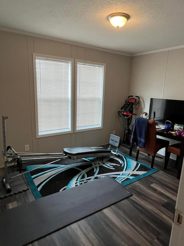 exercise area featuring crown molding, dark hardwood / wood-style flooring, and a textured ceiling