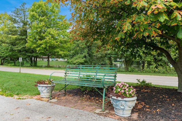 view of community with a lawn