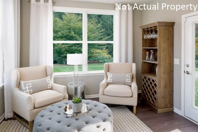 living area featuring wood-type flooring