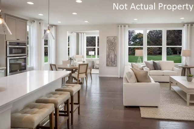 living room featuring dark hardwood / wood-style flooring