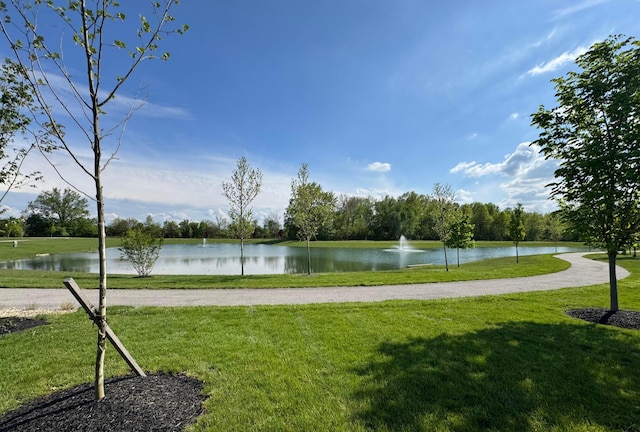 6285 Callaway Sq W Lot 103, New Albany, OH 43054 - photo 39