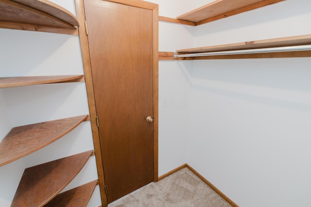 spacious closet with carpet flooring