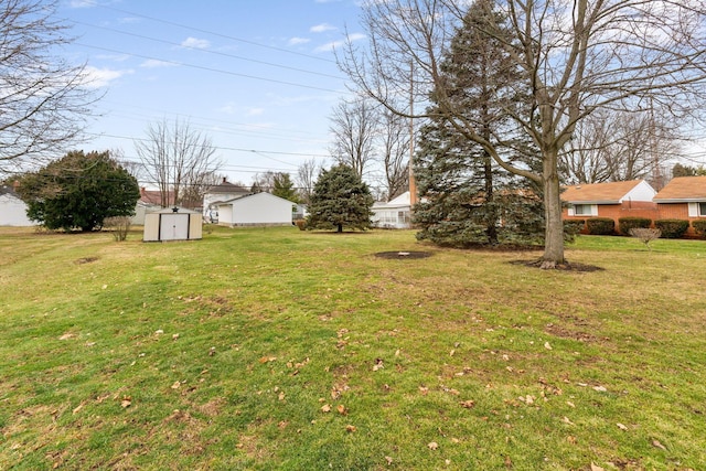 view of yard featuring a shed