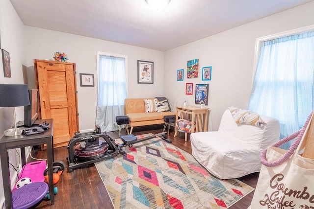 interior space with dark hardwood / wood-style floors