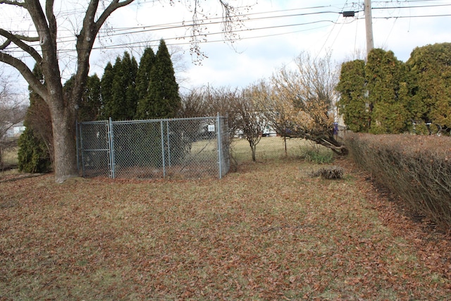 view of yard with a gate and fence