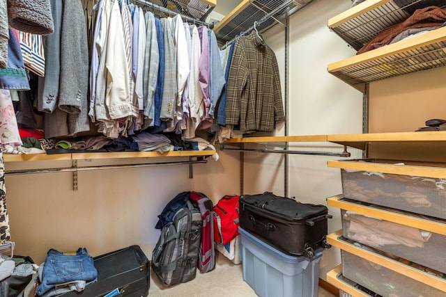 walk in closet featuring carpet