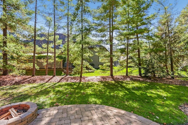 view of yard featuring a patio and an outdoor fire pit