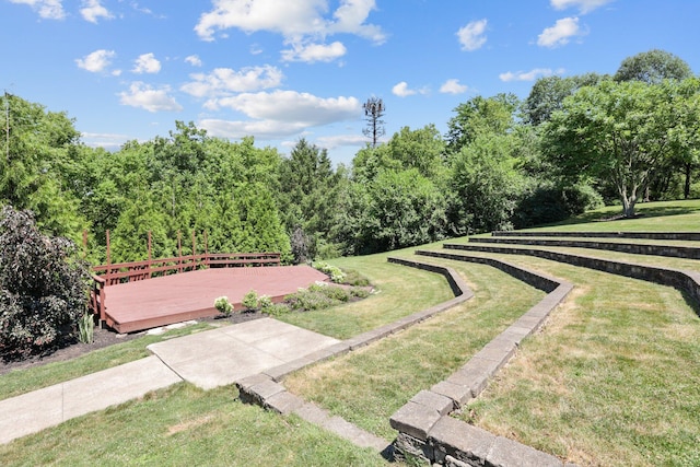 view of community featuring a lawn