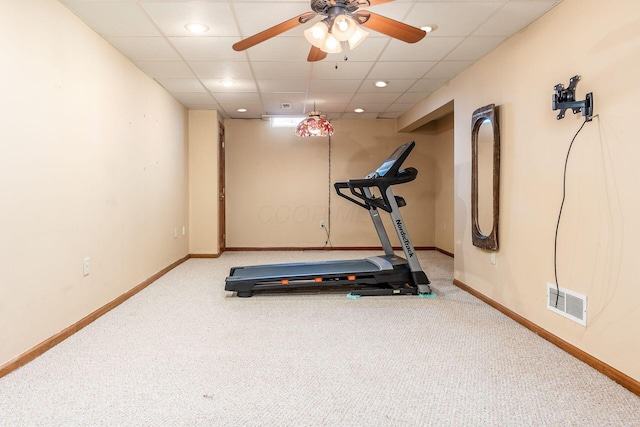 exercise area with a drop ceiling, ceiling fan, and carpet