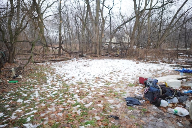 view of yard layered in snow