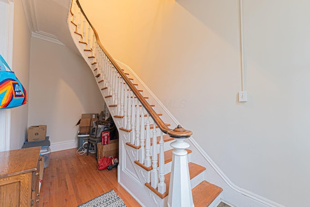 staircase featuring wood-type flooring