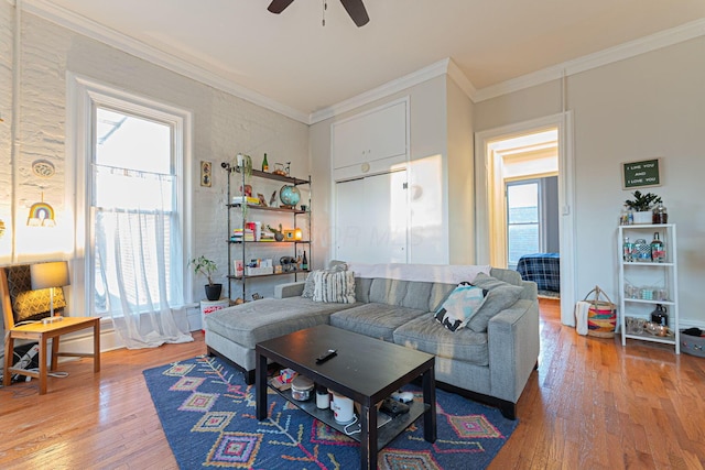 living room featuring hardwood / wood-style floors, ornamental molding, a healthy amount of sunlight, and ceiling fan