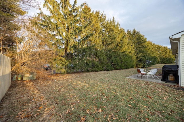 view of yard with a patio